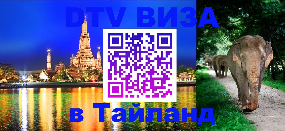 Сколько стоит DTV виза — актуальные цены, оформление даже без документов - Вашингтон  20.11.2025 